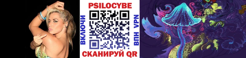 Псилоцибиновые грибы мицелий  Ростов-на-Дону 