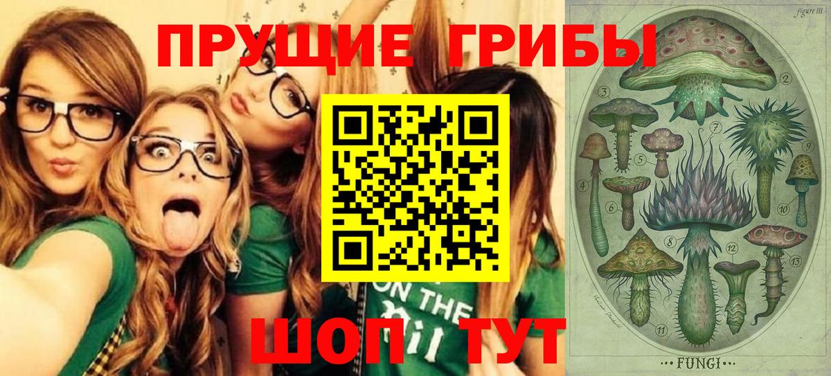 Ростов-на-Дону  Псилоцибиновые грибы ЛСД  Вход с VPN 